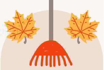 Get Ready for Winter: Your Fall Lawn Care Checklist