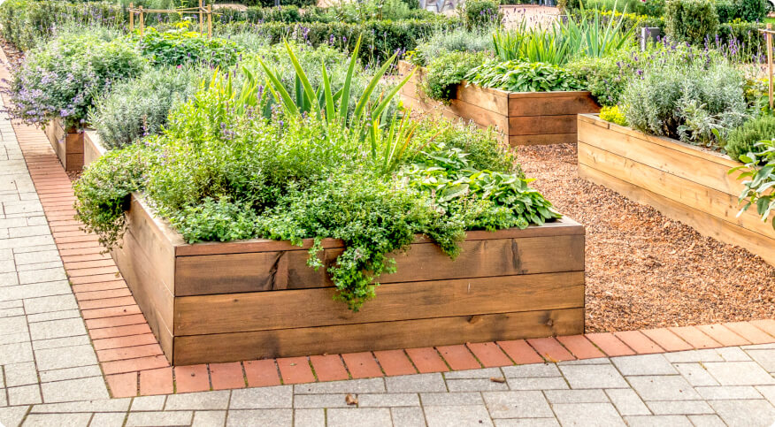 How to Build Raised Garden Beds