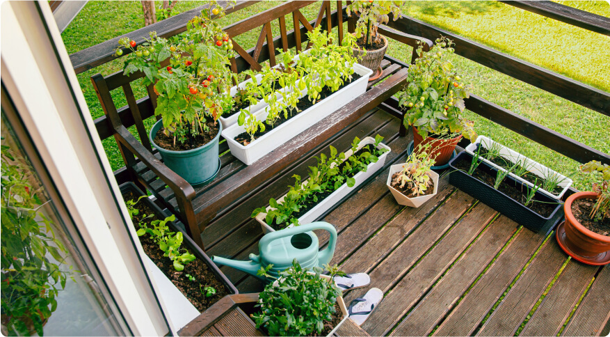 Gardening in Small Spaces: How to Create a Balcony Garden