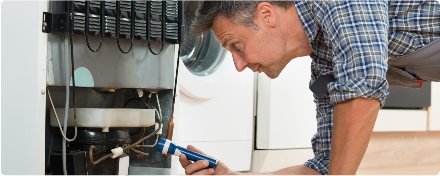 Person inspecting refrigerator with a flashlight.