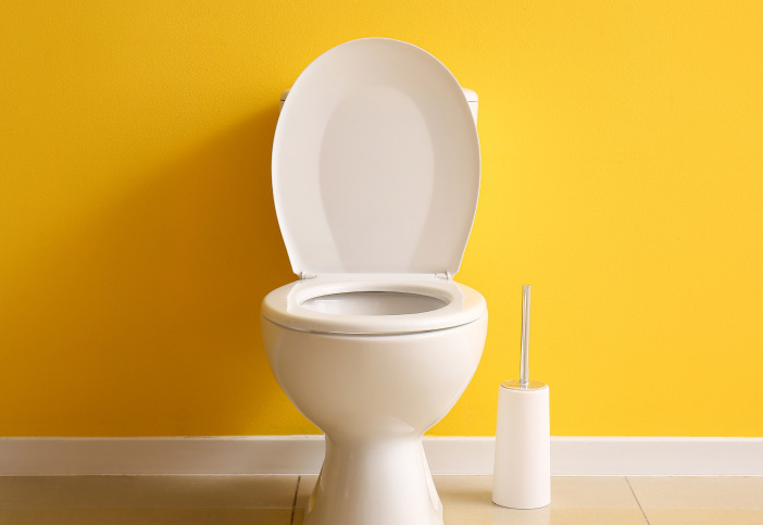 How to Replace a Toilet