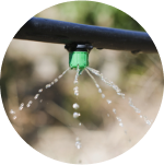 Drip Irrigation